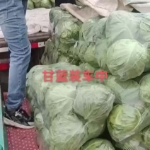 甘蓝，便宜了