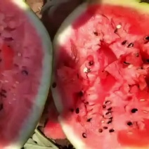 攀枝花精品甜王