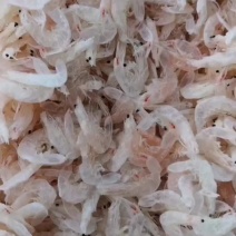 海产品干货，虾皮，鳞虾，海米，大虾，鱼类饵料，纯一手货源
