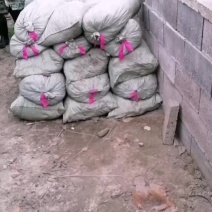 羊粪