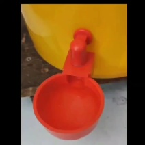 鸡鸭鹅鸽子鹌鹑禽类自动饮水碗饮水器水满自停