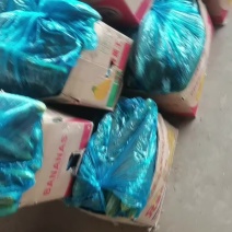 黄瓜有五吨现货，需要了联系