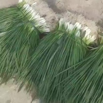 浦东新区蔬菜礼包