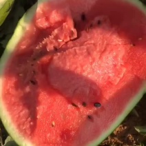 西瓜