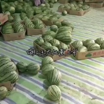 嘉秀，花红玉，美都