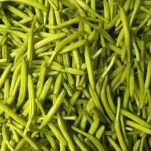 精品黄花菜
