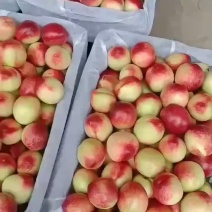518