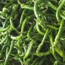 辣椒