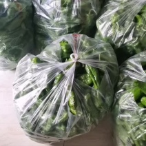 萝卜，包菜，辣椒，苦瓜，玉米