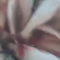 红尾鱼，活鱼冰鲜冰冻都有