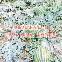 电商货甜王西瓜