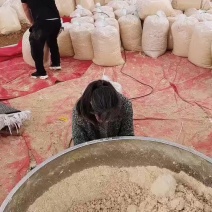 四川豆渣发酵豆渣饲料喂猪喂羊喂牛