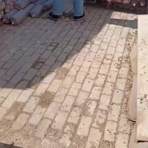 常年出售平菇榆黄蘑出菇菌包