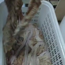 马板肠小肠驴副产品大量现货