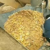玉米脱粒机