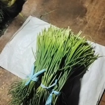 蒜薹