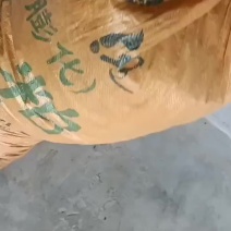 干小米椒