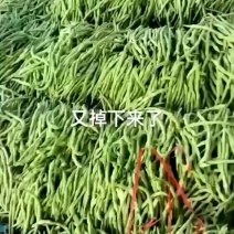 豆王