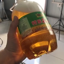 鲜啤团购啤酒啤酒厂家源头啤酒扎啤鲜啤【爆品】