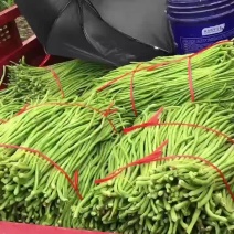 豆角，新鲜豆角