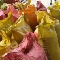 板栗板栗仁广西油栗