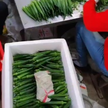 青岛莱西秋葵，水果秋葵，精品小包装秋葵，电商一件代发
