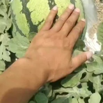 8424