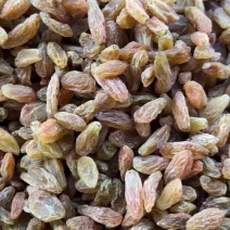 新疆葡萄干一级黄大颗粒一级黄中颗粒电商商超团购多多买菜