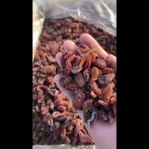 新疆葡萄干奶油葡萄干电商平台供应厂家直销一手货源批发