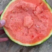 墨瞳西瓜，小糖丸西瓜，山东潍坊产地一手货源，十四糖分以上