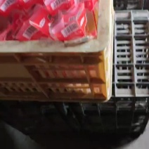 咸鸭蛋泥腌红油油咸鸭蛋咸鸭蛋厂质量保证价格便宜欢迎联系