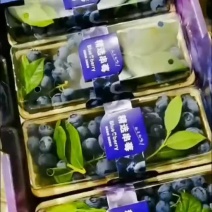 蓝莓