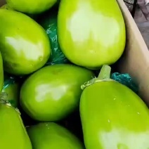 精品青茄子，质量超好，现摘现发，保证新鲜
