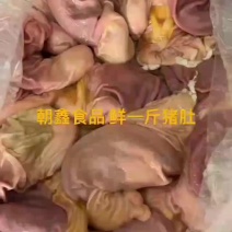 鲜标猪无水一斤猪肚！鲜货全国发货！一级肚，质量好价格低