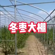 厂家特价清仓大棚钢管全套全国发货包建