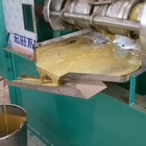 榨油机源头厂家，新型环保多功能条排榨油机，出油率高