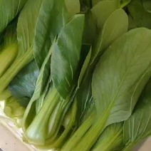 油菜