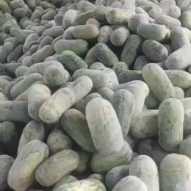水果冬瓜
