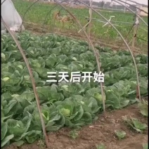 套餐