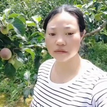 2001冰糖心丑苹果这是今年的新苹果，现在己这么大了哦。