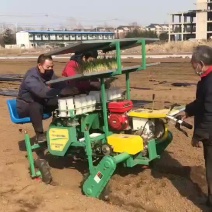 栽苗器小型秧苗自走式栽苗密度高育苗器玉米栽苗芹菜西红柿辣