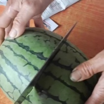 早春红玉，小糖丸西瓜，