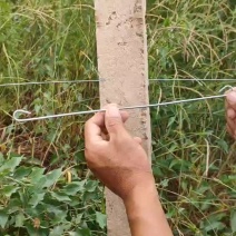 水泥柱固定卡河北永德助新建果园猕猴桃葡萄立架密植果园专用
