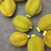 泰国金枕榴莲