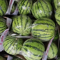 8424，