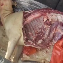 羊肉黑山羊