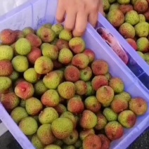 特价荔枝