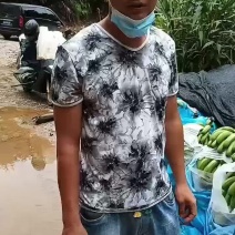 芭蕉