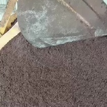 酒糟