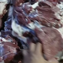 鲜羊肉冻羊肉大量有货纯干不注水不调理